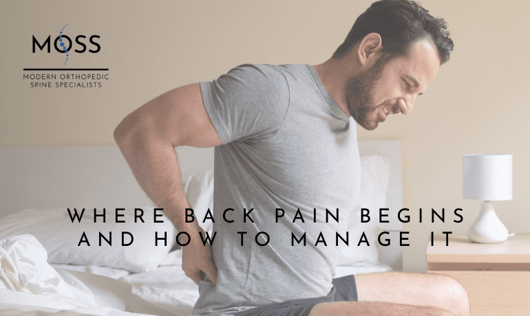 Where Back Pain Begins