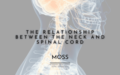 The Relationship Between The Neck And Spine